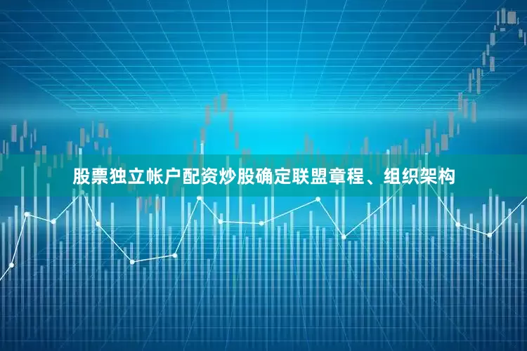 股票独立帐户配资炒股确定联盟章程、组织架构