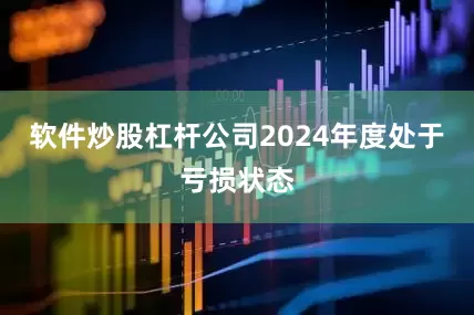 软件炒股杠杆公司2024年度处于亏损状态