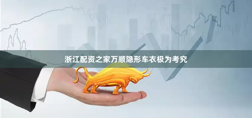 浙江配资之家万顺隐形车衣极为考究