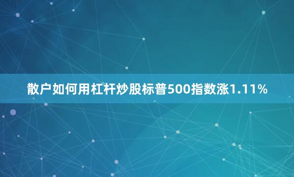 散户如何用杠杆炒股标普500指数涨1.11%