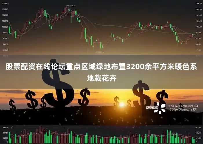 股票配资在线论坛重点区域绿地布置3200余平方米暖色系地栽花卉