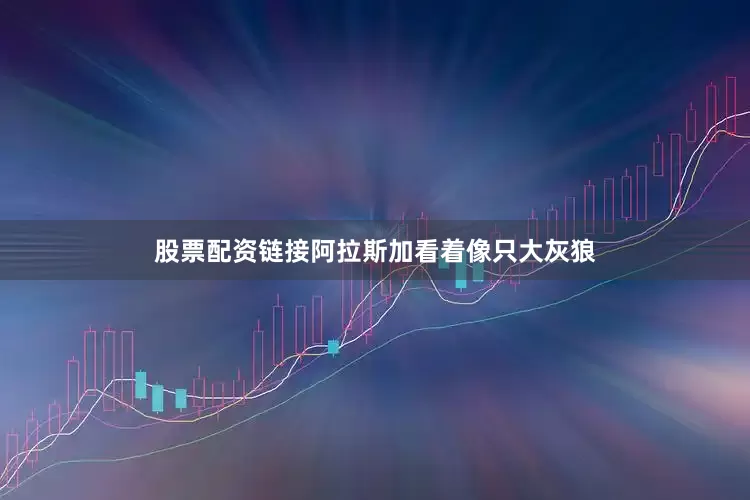 股票配资链接阿拉斯加看着像只大灰狼