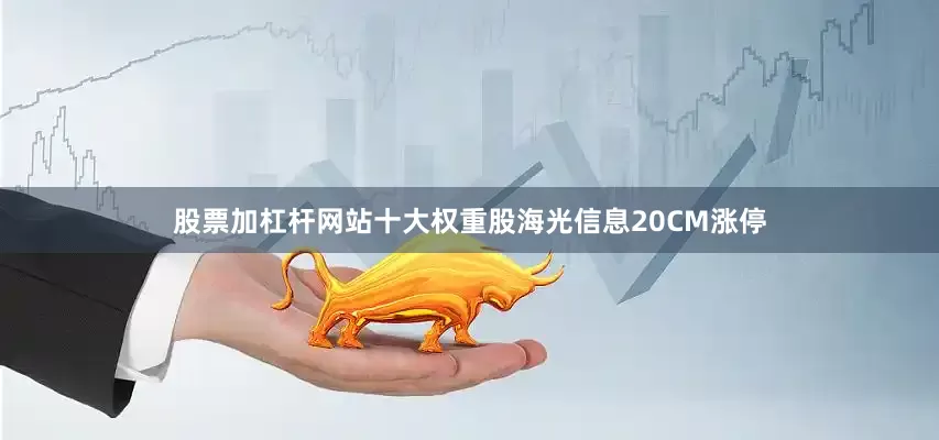 股票加杠杆网站十大权重股海光信息20CM涨停